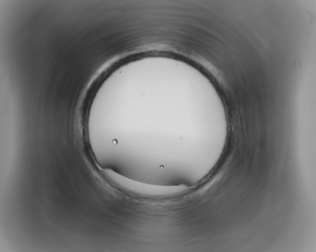 X0000115141118200911241500