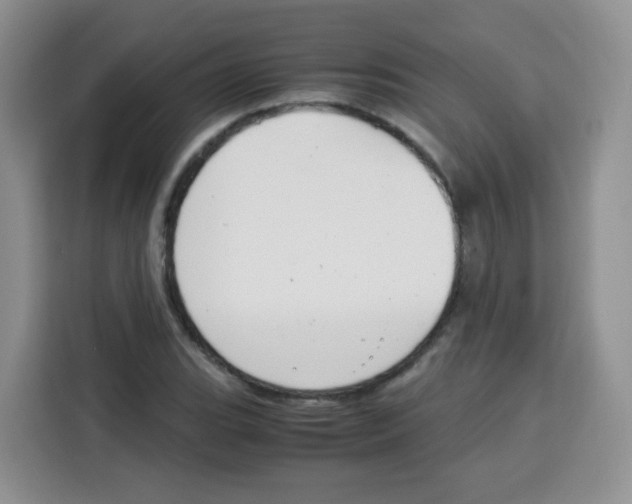 X0000115141119200911241500
