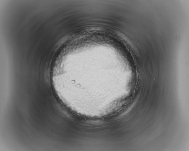 X0000115141121200911241500