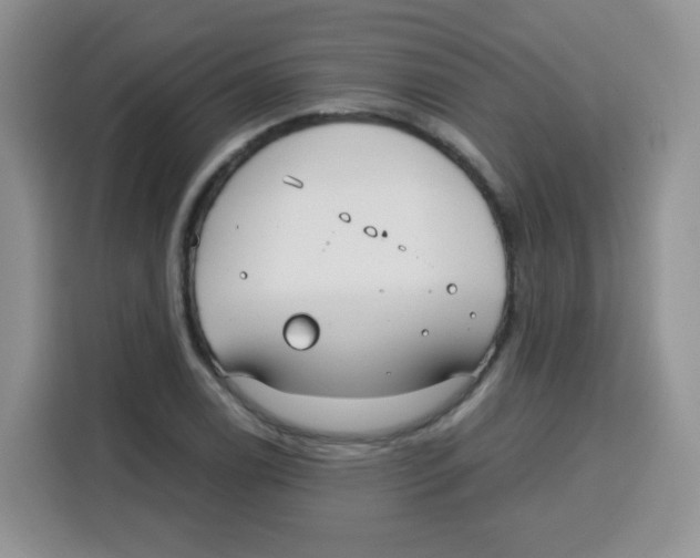 X0000115141122200911241500
