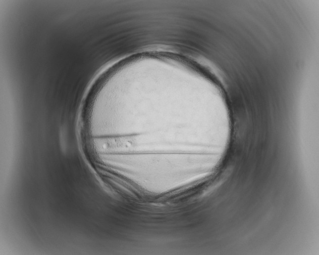 X0000115141125200911241500