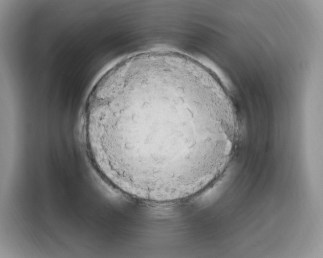 X0000115141126200911241500