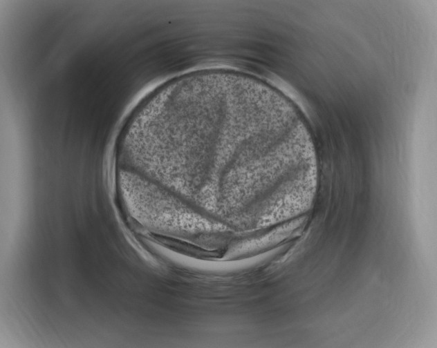 X0000115141127200911241500
