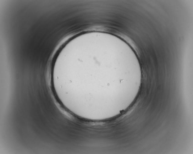 X0000115141131200911241500