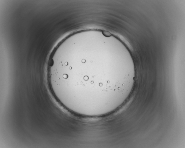X0000115141134200911241500