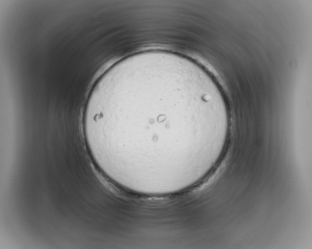 X0000115141137200911241500