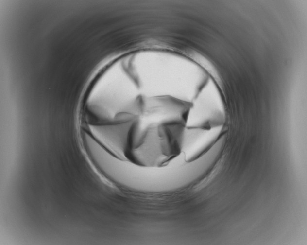X0000115141141200911241500