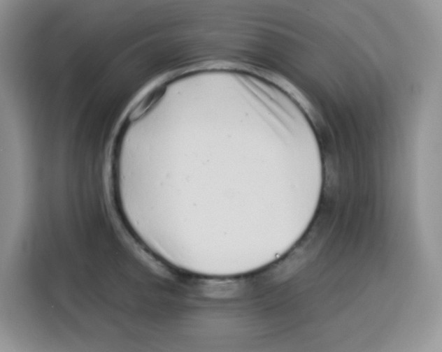 X0000115141142200911241500