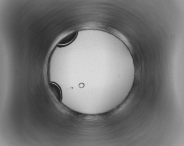 X0000115141146200911241500