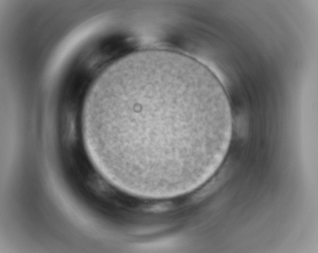 X0000115141150200911241501
