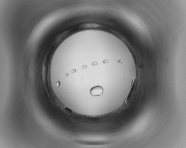 X0000115141151200911241501