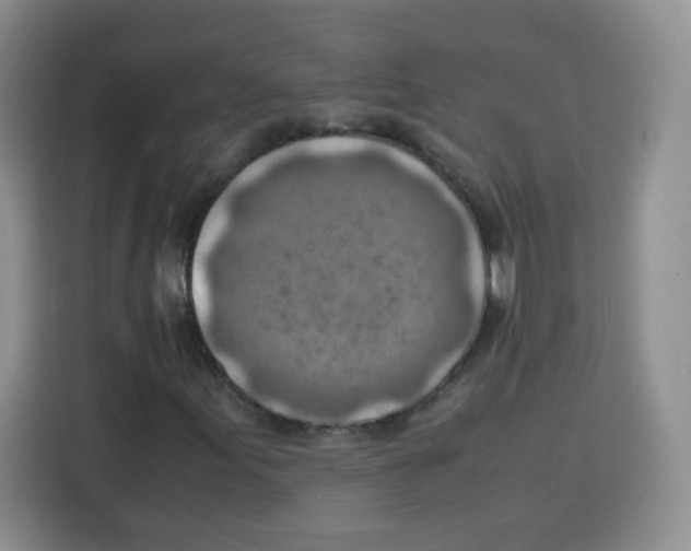 X0000115141155200911241500