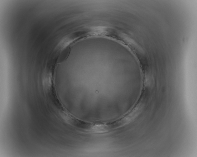 X0000115141161200911241500