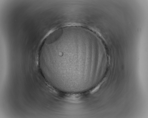 X0000115141165200911241500