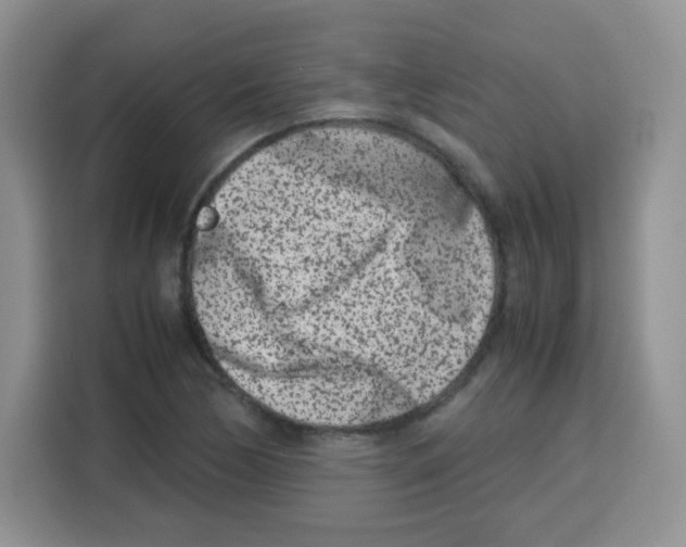X0000115141170200911241500