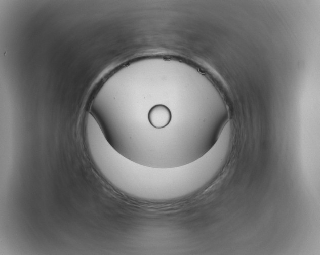 X0000115141173200911241500