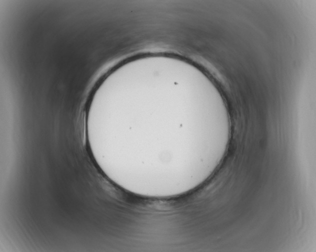 X0000115141175200911241500