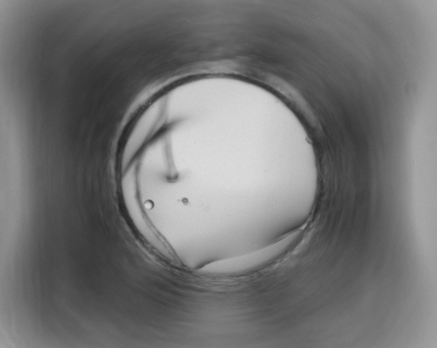 X0000115141176200911241500