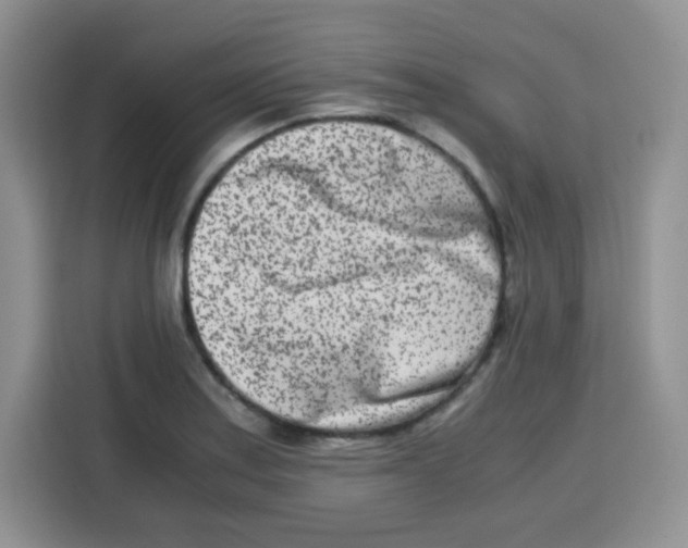 X0000115141179200911241500