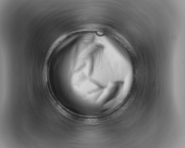 X0000115141180200911241500