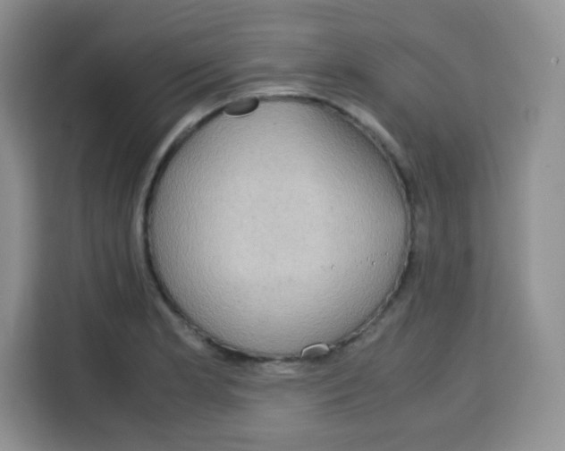 X0000115141181200911241500