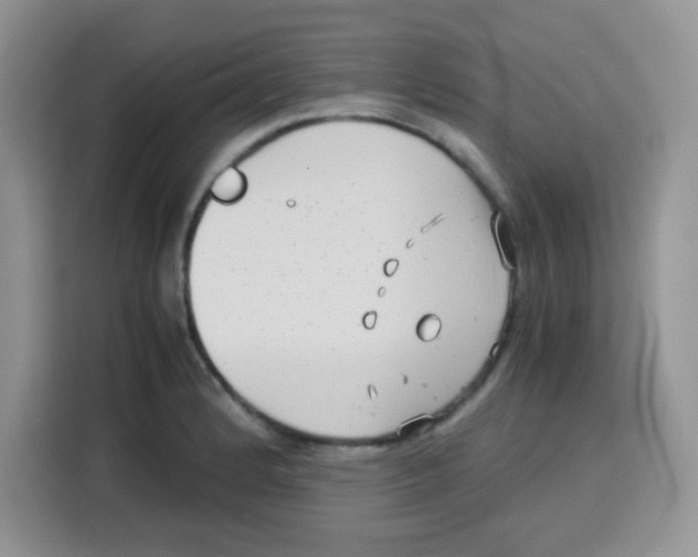 X0000115141184200911241459