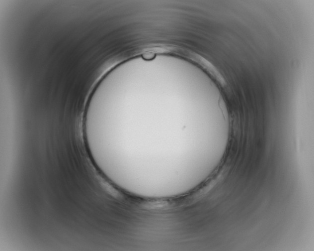 X0000115141186200911241459