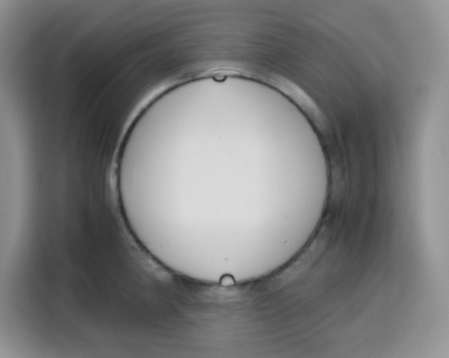 X0000115141190200911241459
