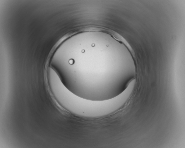 X0000115141195200911241459