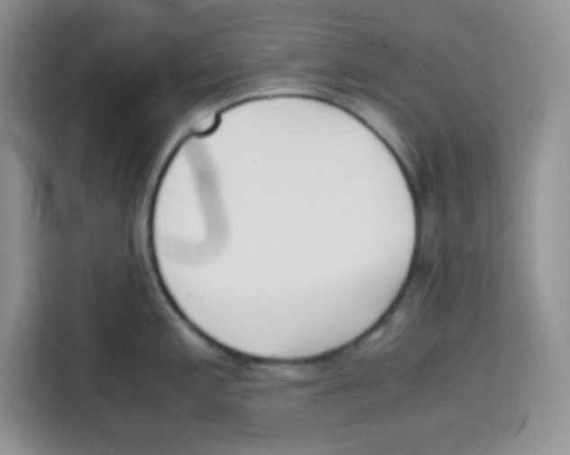 X0000115141197200911241459