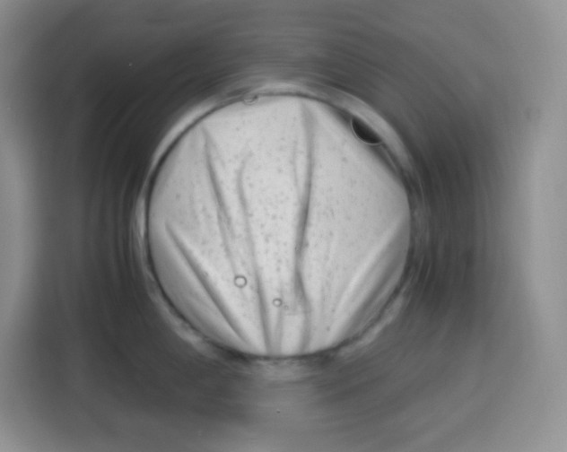 X0000115141198200911241459
