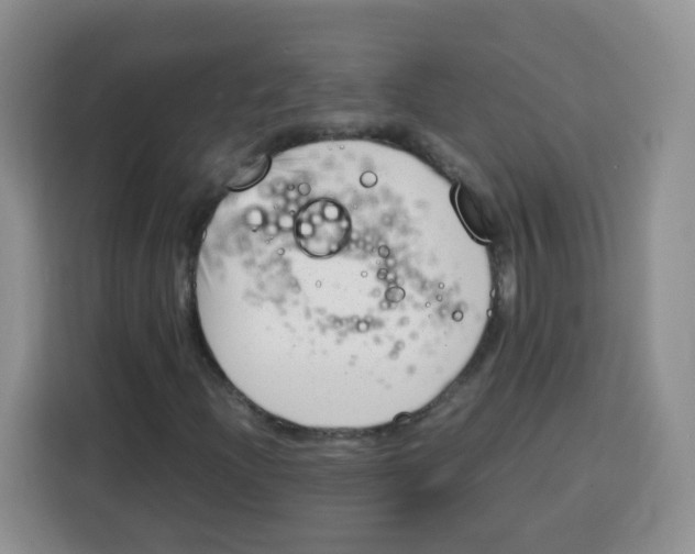 X0000115141204200911241459