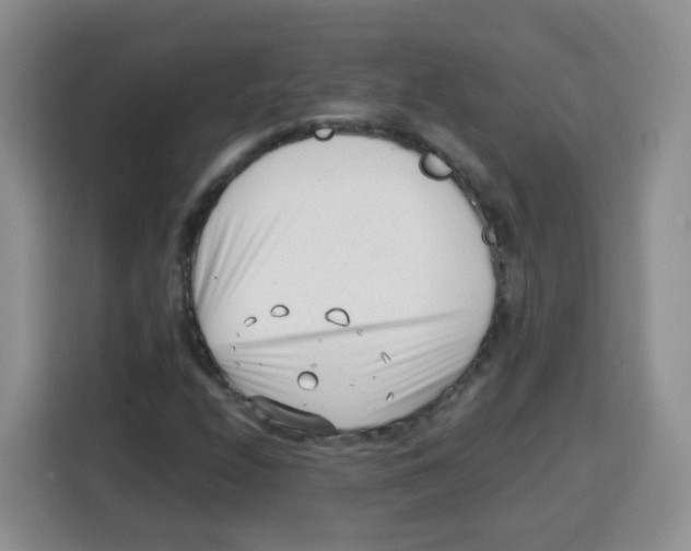 X0000115141208200911241459