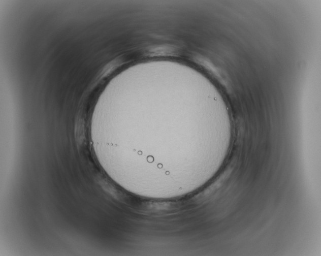 X0000115141211200911241459