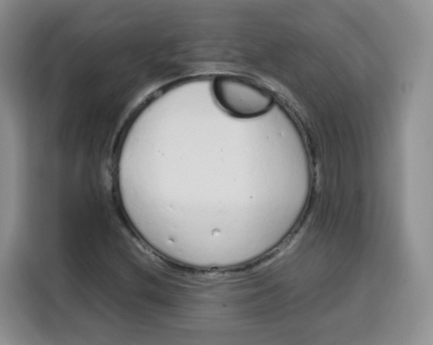 X0000115141212200911241459