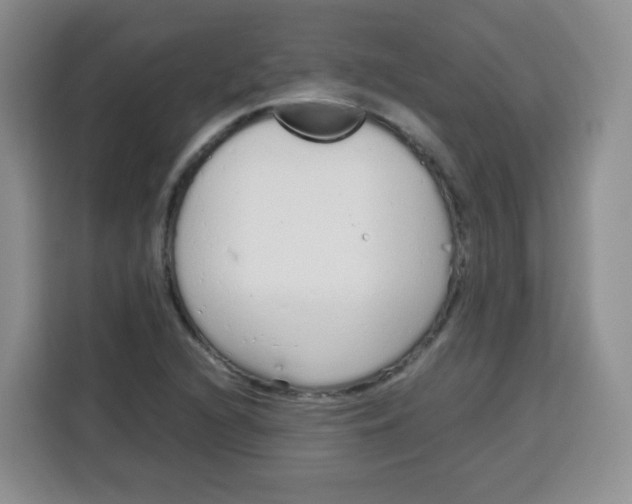 X0000115141216200911241459