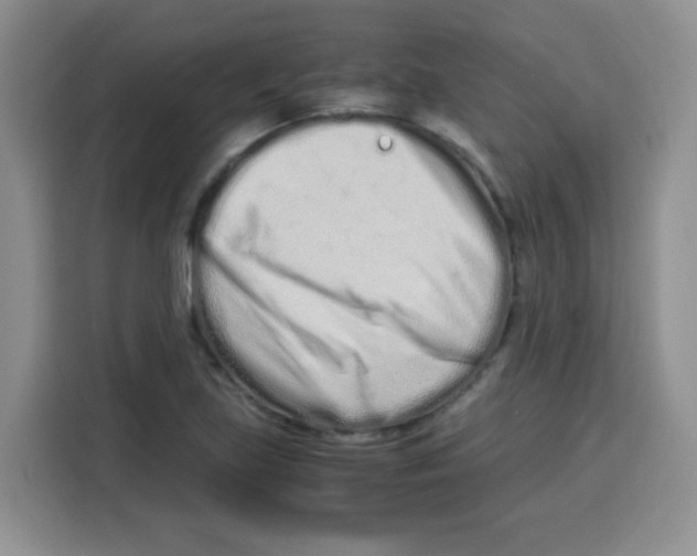X0000115141219200911241459
