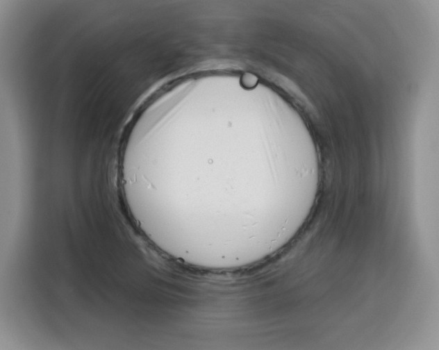 X0000115141220200911241459