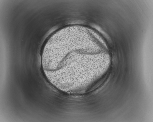 X0000115141221200911241459