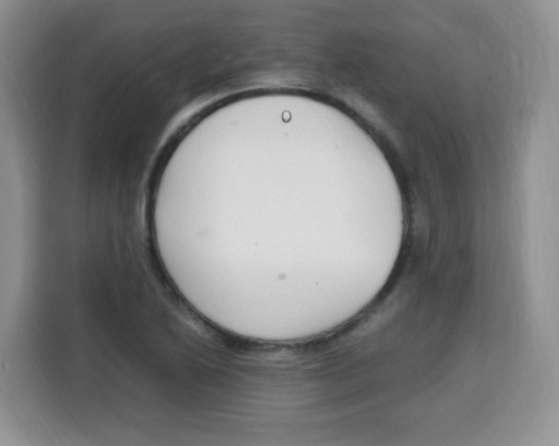 X0000115141222200911241459