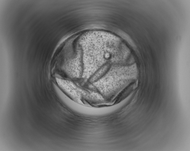 X0000115141226200911241459