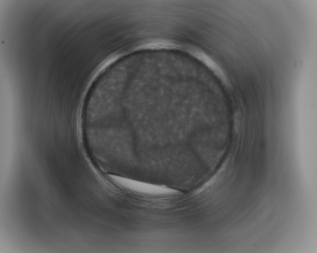 X0000115141229200911241459