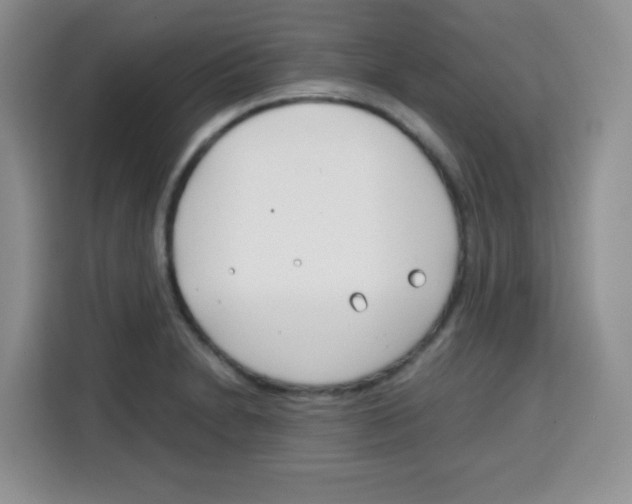 X0000115141230200911241459