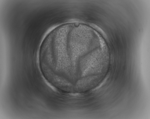 X0000115141231200911241459