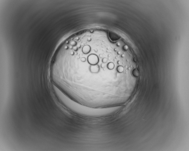 X0000115141234200911241459