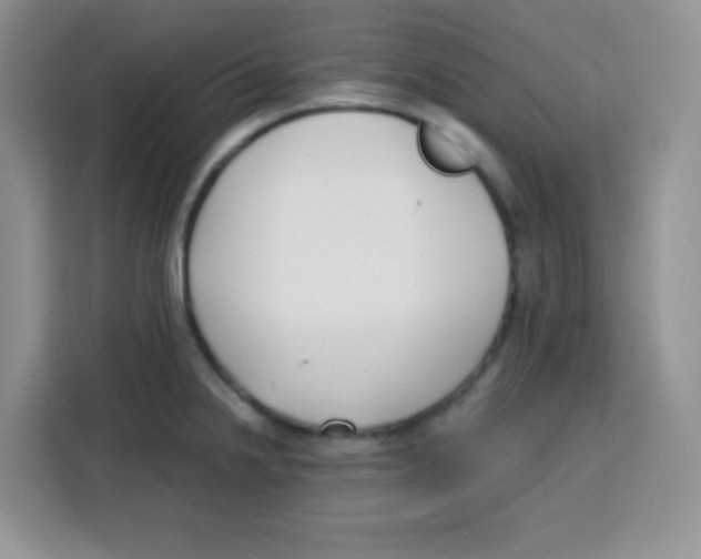 X0000115141238200911241459