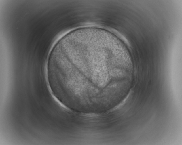 X0000115141239200911241459