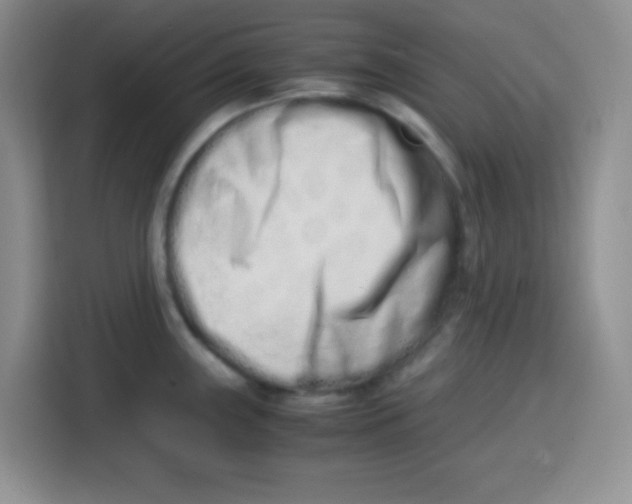 X0000115141243200911241459