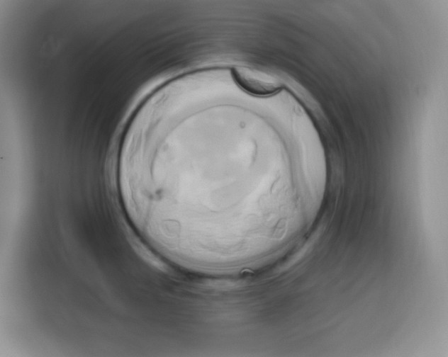 X0000115141246200911241459
