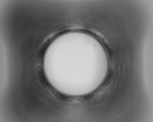 X0000115141255200911241459
